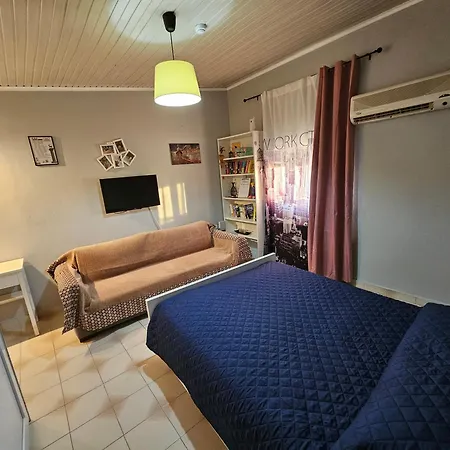 My Summerhouse クレマスティ